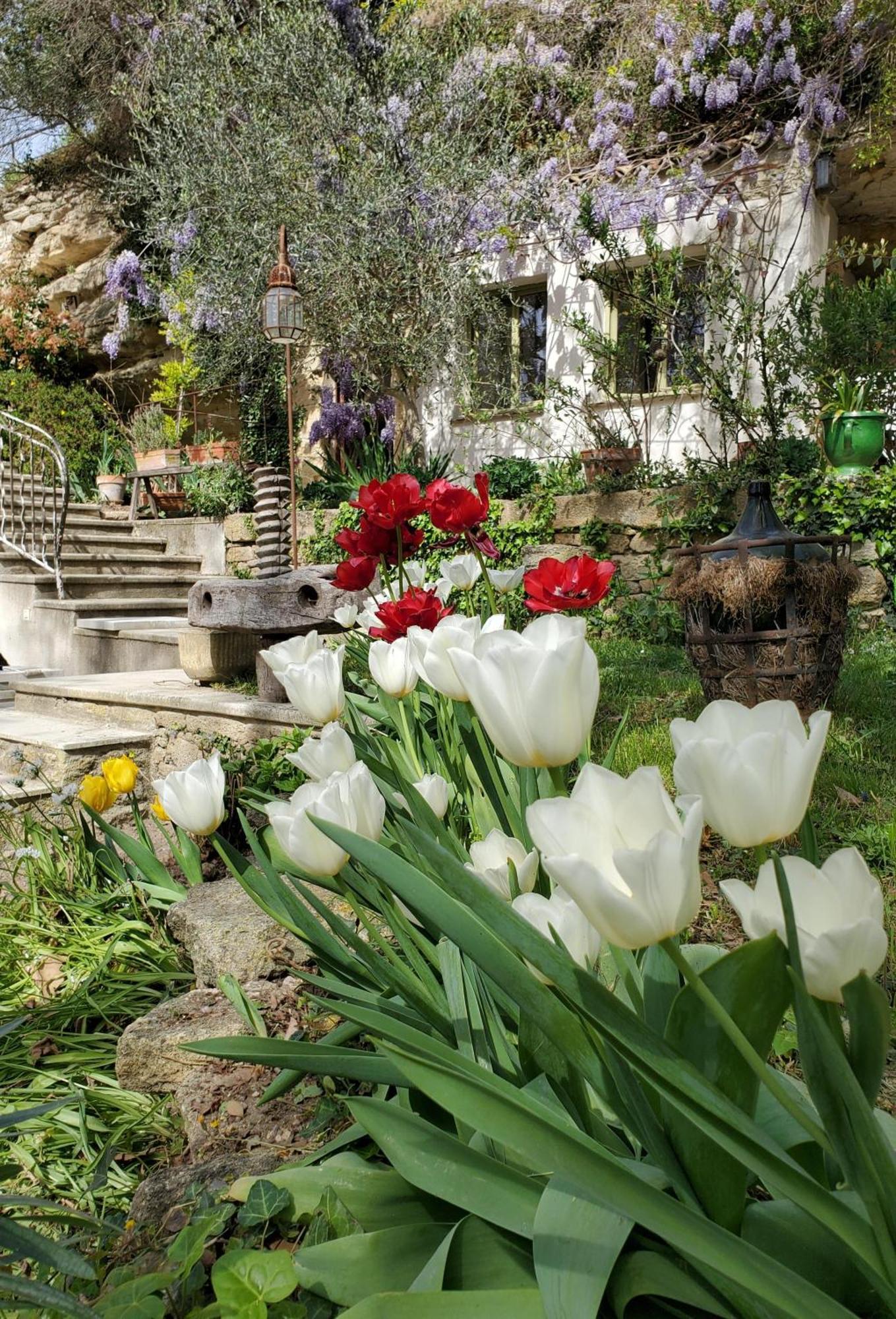 Moulin de Bonfilhon Bed & Breakfast Cornillon-Confoux Exterior foto